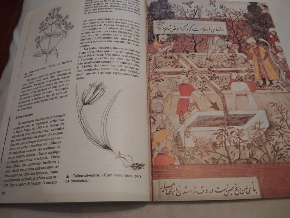 Livro Coleção Arte de Viver Ervas Vintage