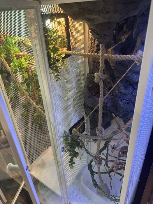 Terrarium dla kameleona, gekona, gadów