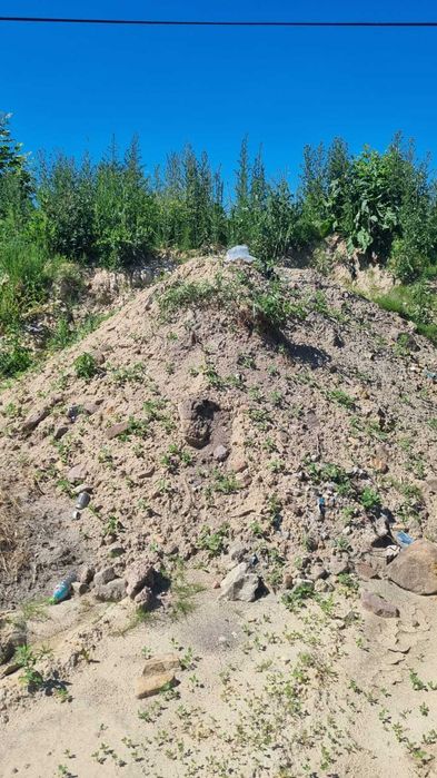 Ziemia niesort piach zasypki wyrównanie terenu  ZA DARMO