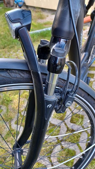 Rower elektryczny Batavus napęd BOSCH