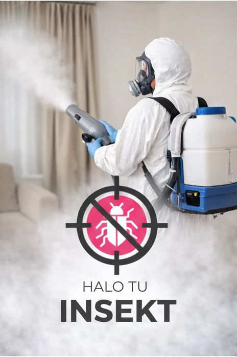 Pluskwy w mieszkaniu? Skuteczna dezynsekcja | Kraków