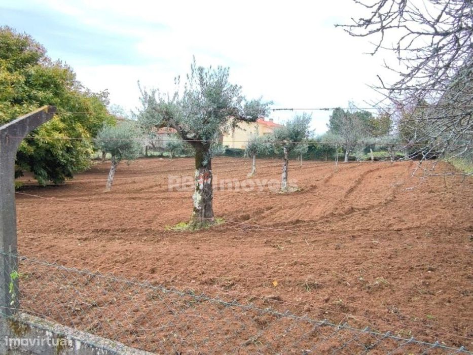 2 Terrenos Rústicos com PDM - Carril, Ferreira do Zêzere