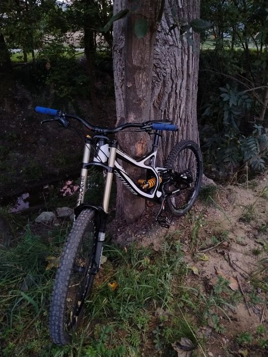Specialized demo 8