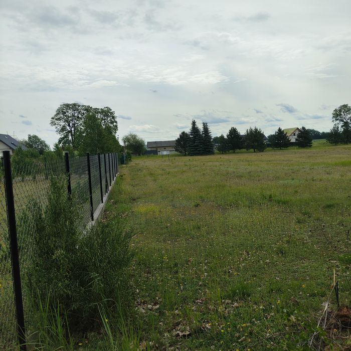 Działka budowlana z własnym lasem