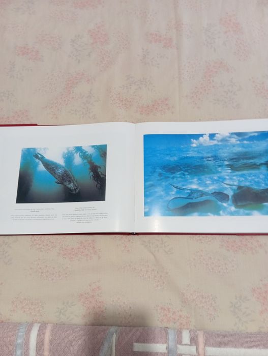 Livro Celebração dos Mares
