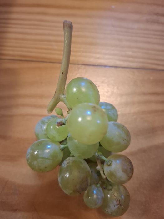 Uvas Moscatel caixas 2  kg