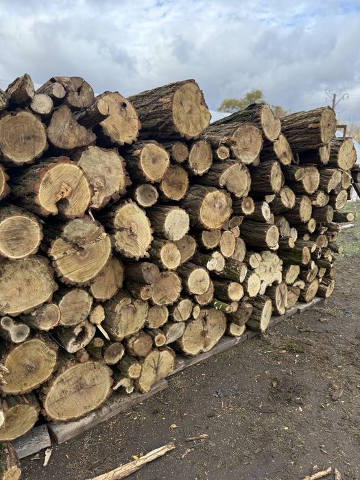 Дрова колотые метровые