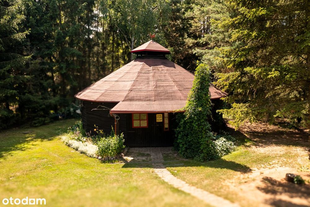 Siedlisko z linią brzegową rzeki na pograniczu Kaszub i Kociewia