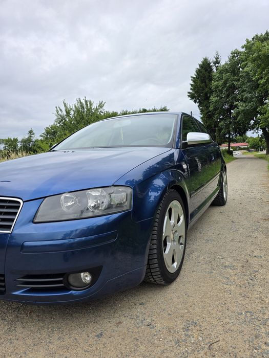 Audi A3 8P 1.9TDI 105Km