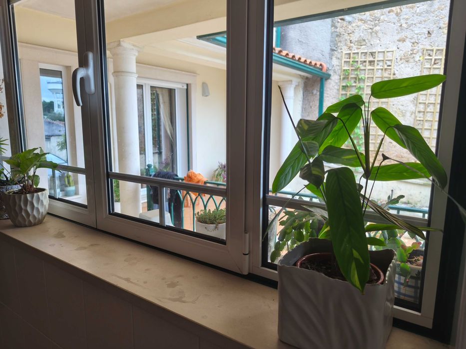 Janela de alumínio lacado