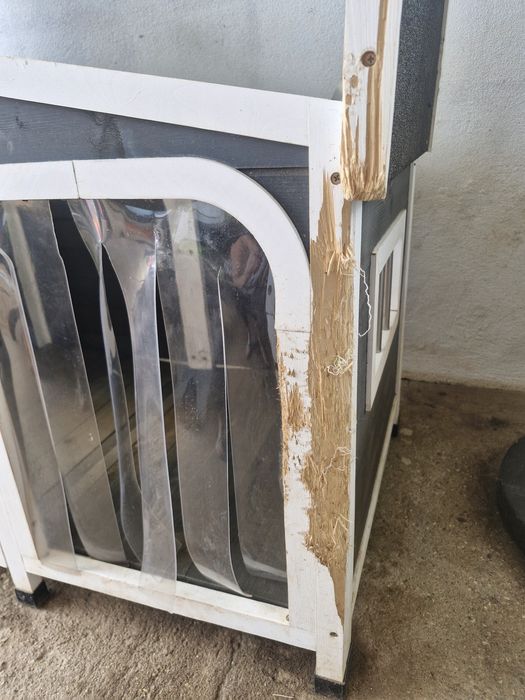 Casota cão com abertura no topo