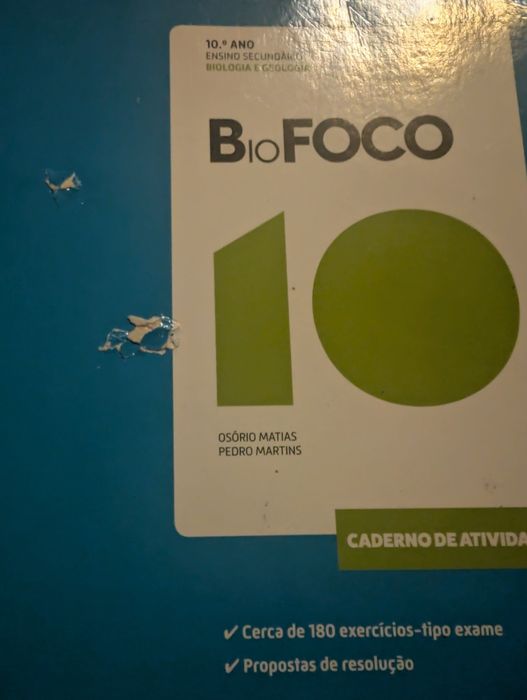 Cadernos Atividades 10º ano