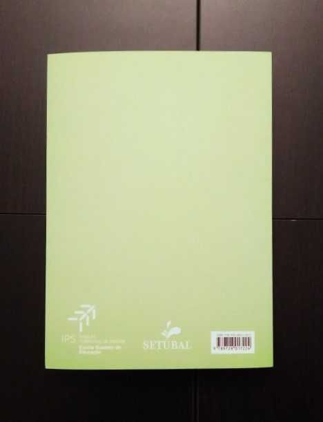 Albérico Afonso Costa - Setúbal sob a ditadura militar 1926/1933