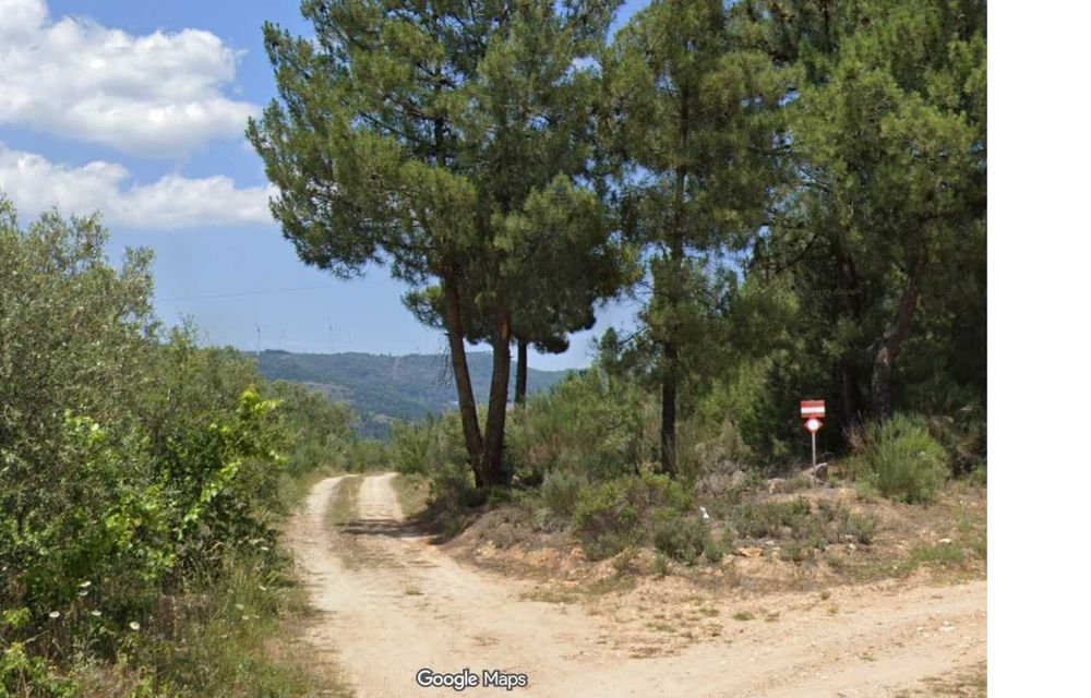 Terreno Agrícola com Vinha Registada, Casa de Apoio e Água