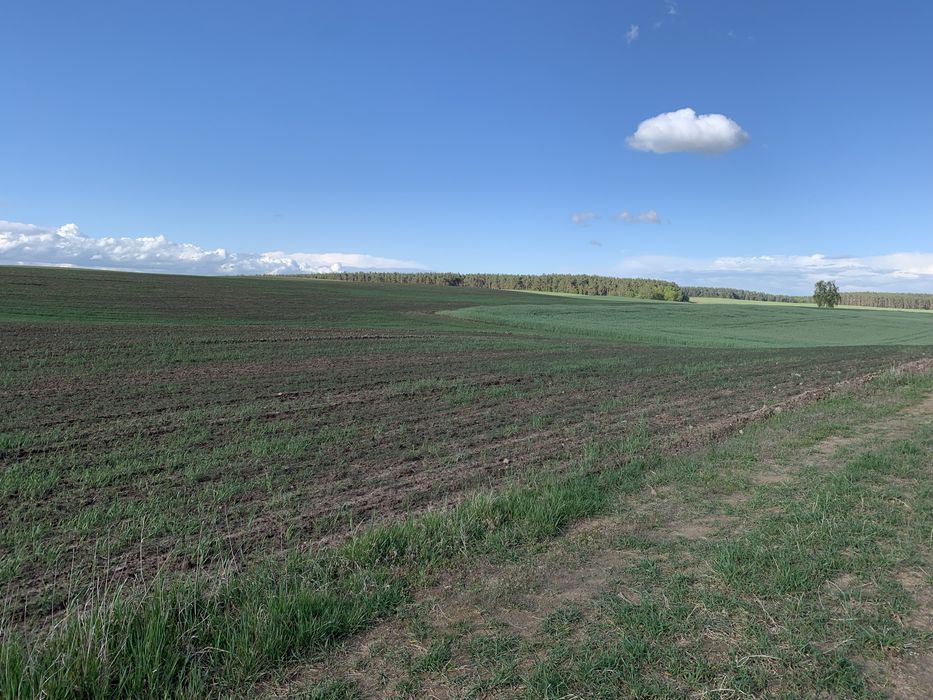 Dzialki budowlane /  wydane warunki zabudowy /