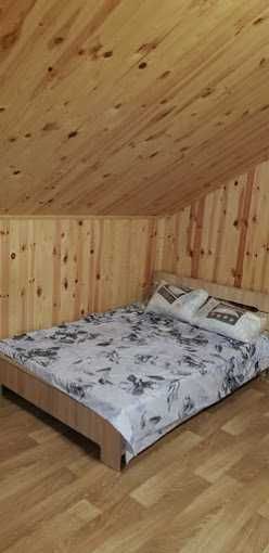 Осещіна будинок баня басейн мангал альтанка  барбекю  Вишгородський  р