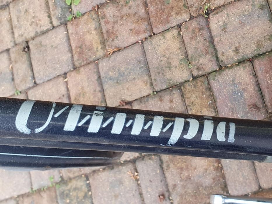 Rower damka niebieski