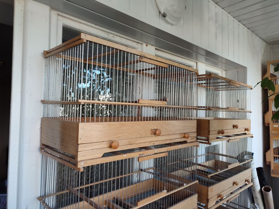 Клітки різні для птахів