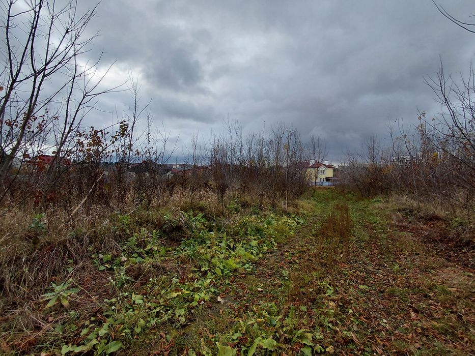 Продається земельна ділянка кленовий гай