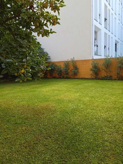 Serviços de Jardinagem e Limpeza de Terrenos - Manuel Santos