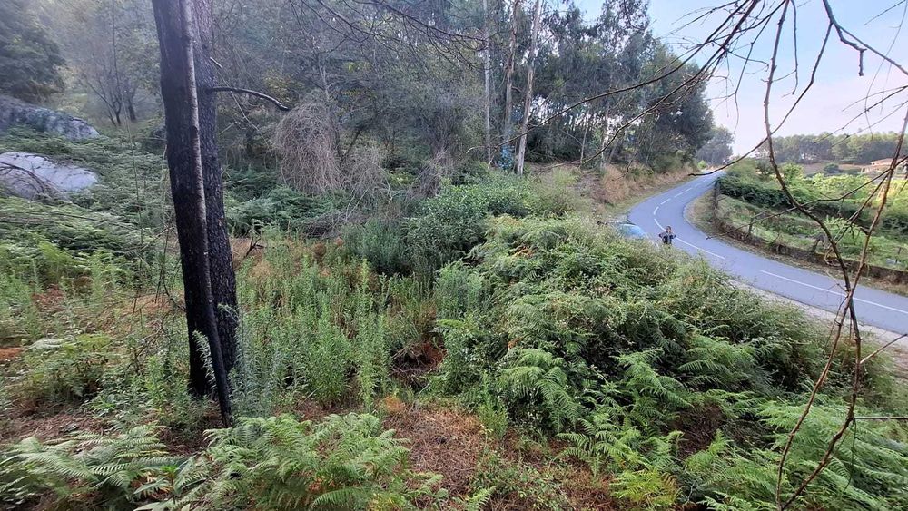 Terreno na Póvoa de Lanhoso