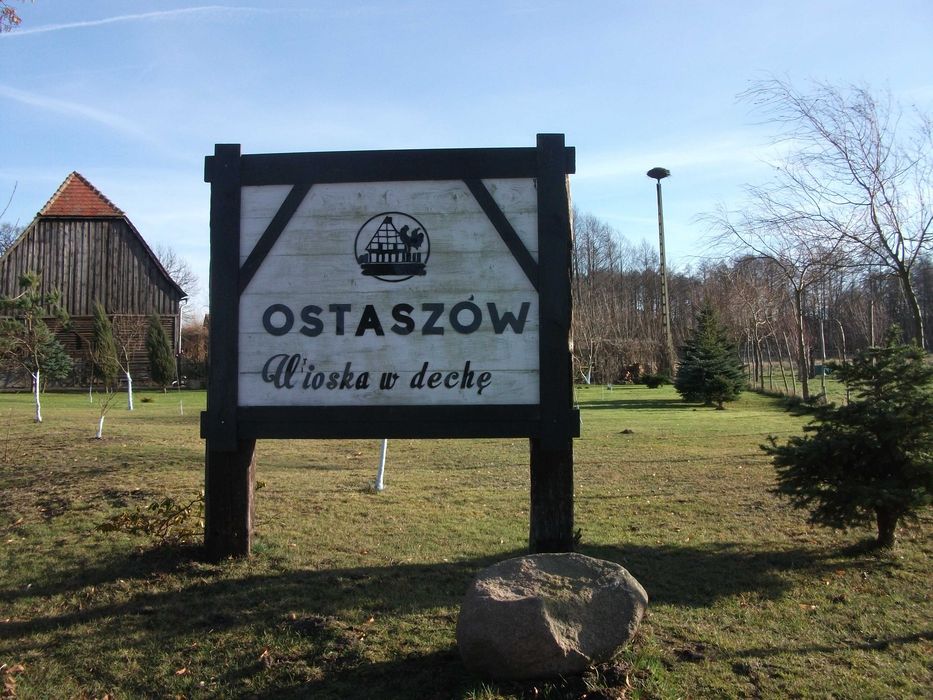Działka budowlana Ostaszów gmina Przemków 15 arów od właściciela - Widok 3
