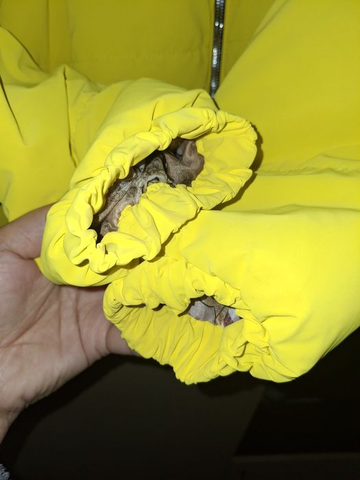 Курточка весна тепла осінь