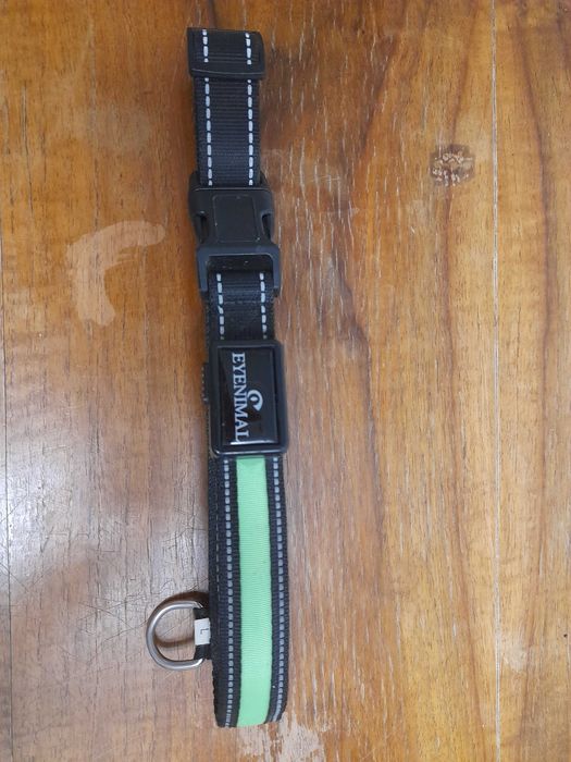 Obroża LED dla psa, Eyenimal zielona duża