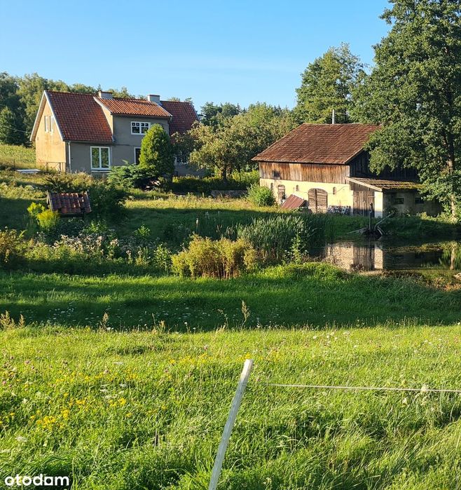 Siedlisko 2,38 ha z zabudowaniami i stawem – 14 km od Olsztyna