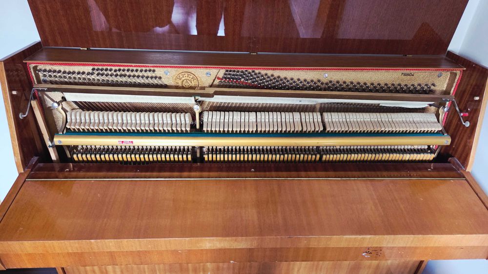 Pianino Calisia Nokturn