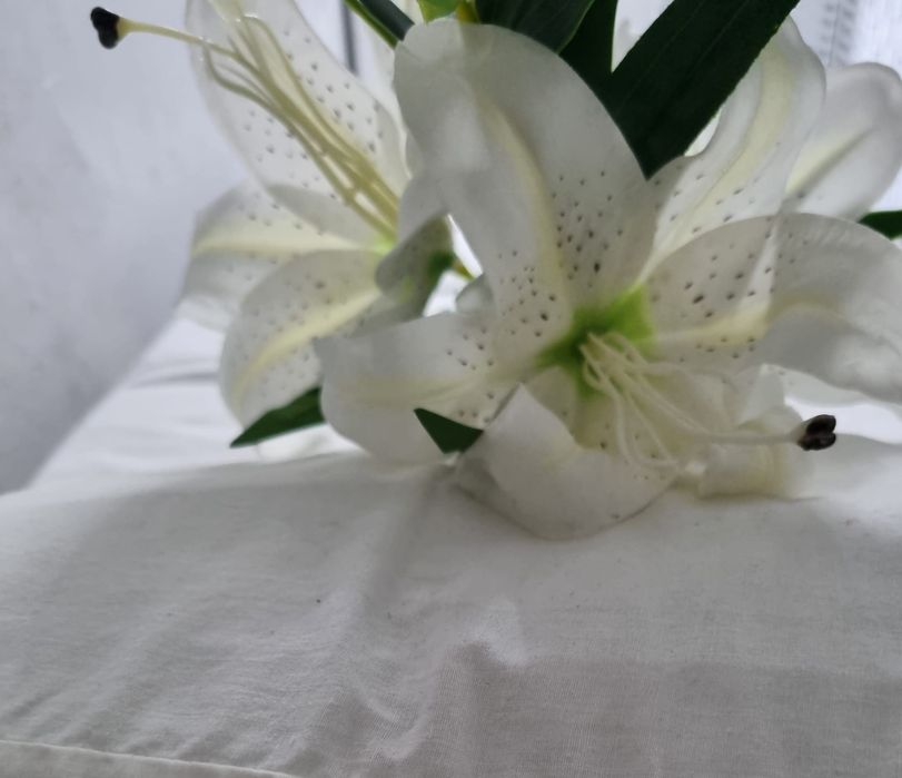 Estética para homem e mulher