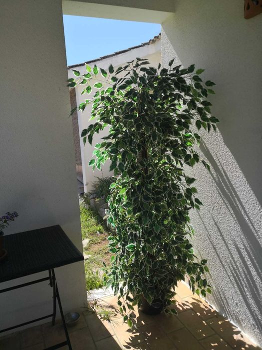 planta artificial 150 cm
