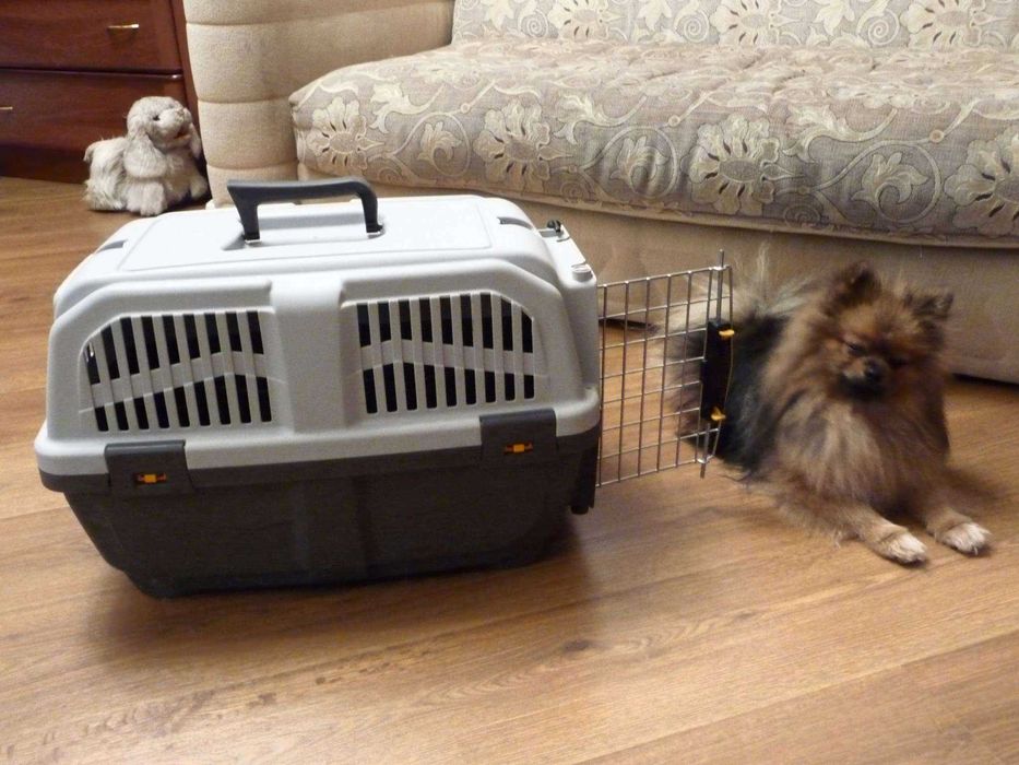 АВИа бокс iata переноска клетка для собак кошек от №1,2,3,4,5,6,7