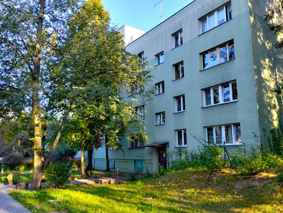 Zdjęcie 7