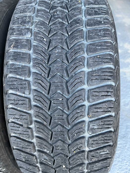Opony zimowe Dębica 205/55 R16