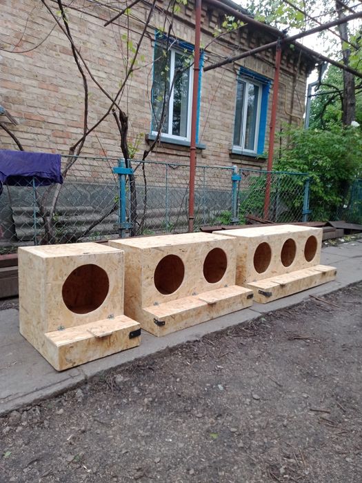 гніздо для курей з яйцезбірником