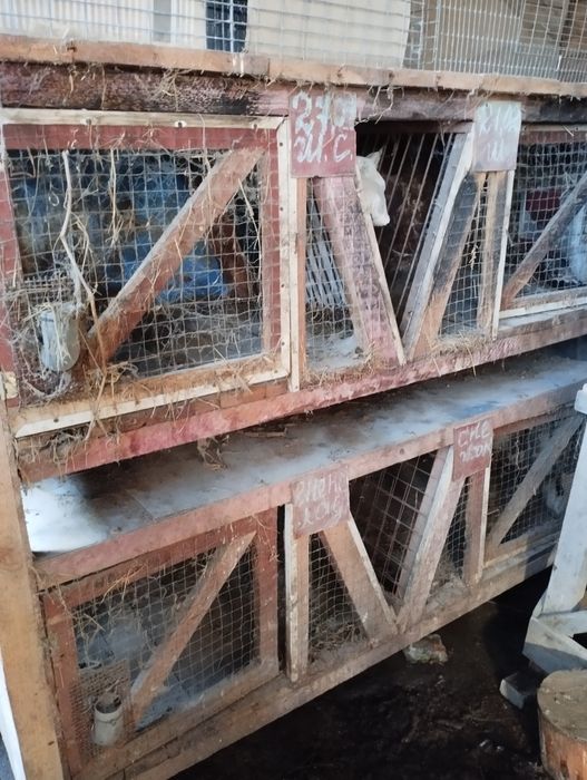 Продам клітки для кроликів
