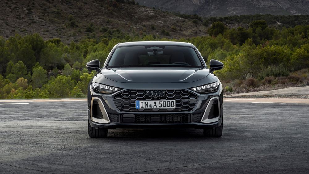 Zdjecie w galerii numer 2