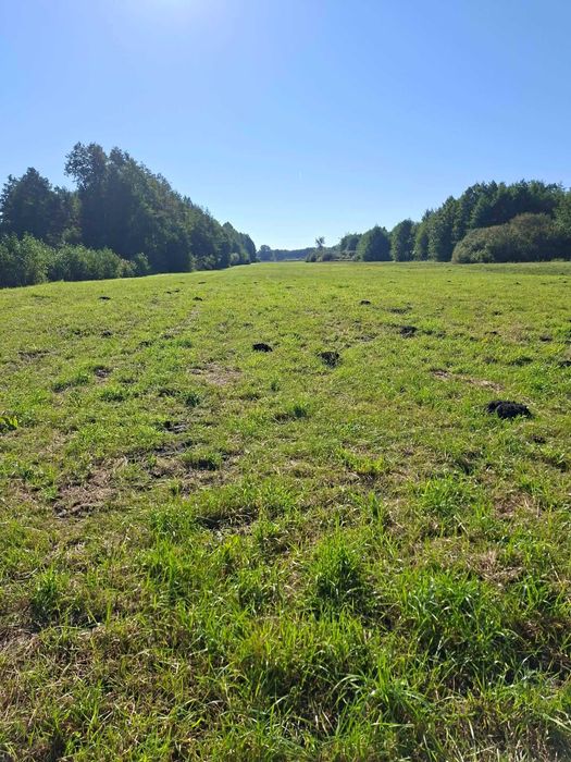 Grunty rolne 0,98ha - Widok 3