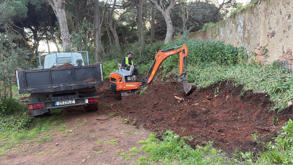Serviços viaturas basculantes / caixa aberta/ mini giratoria/ Bobcat