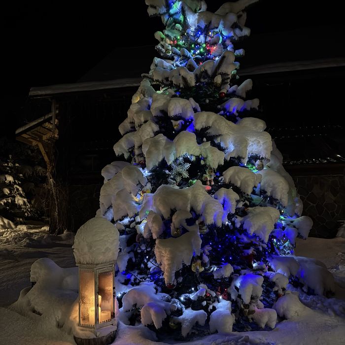 Затишний котедж для відпочинку біля самого лісу на 6+2 гостей