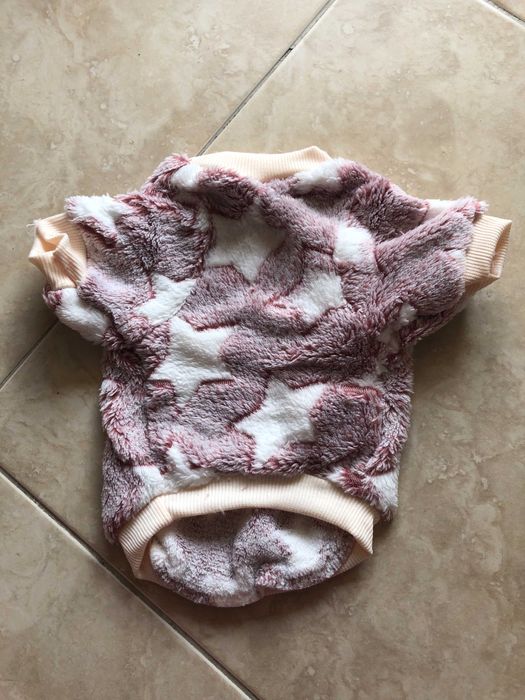 roupa nova animal estimação