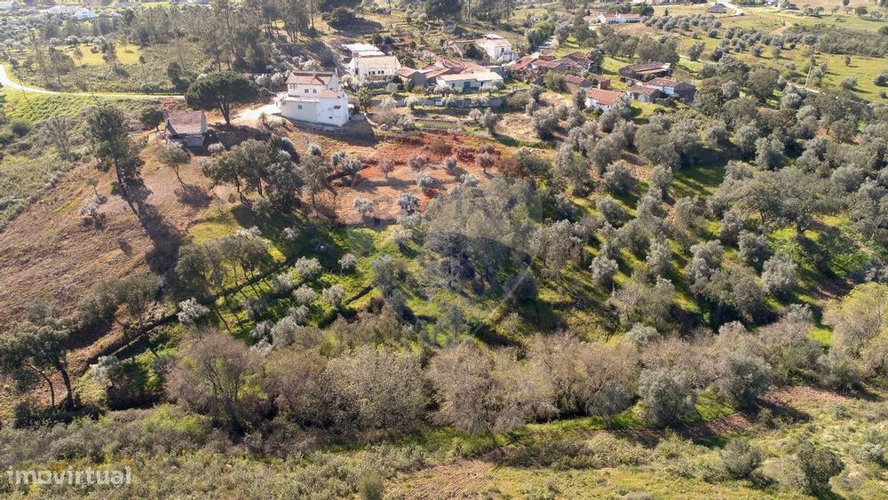 Terreno  para venda