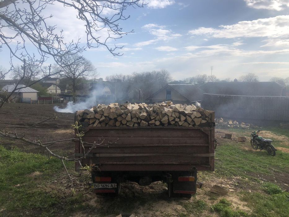Дрова сухі колені,рубані,колоті дуб граб  доставка