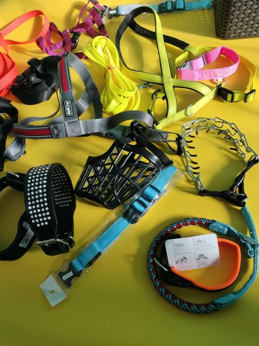 Шлея для собаки Європа