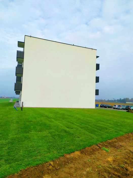 trawnik siatka na krety ogród od podstaw