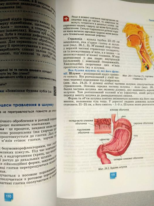 Біологія, 8 клас, 2025 рік