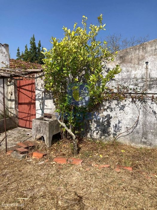 Casa Típica Portuguesa com Terreno de 6346m2