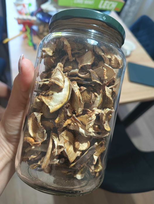 Prawdziwki/borowiki szlachetne