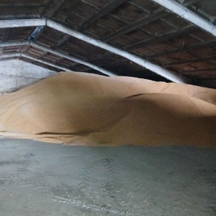 Продам кукурудзу,суху.,